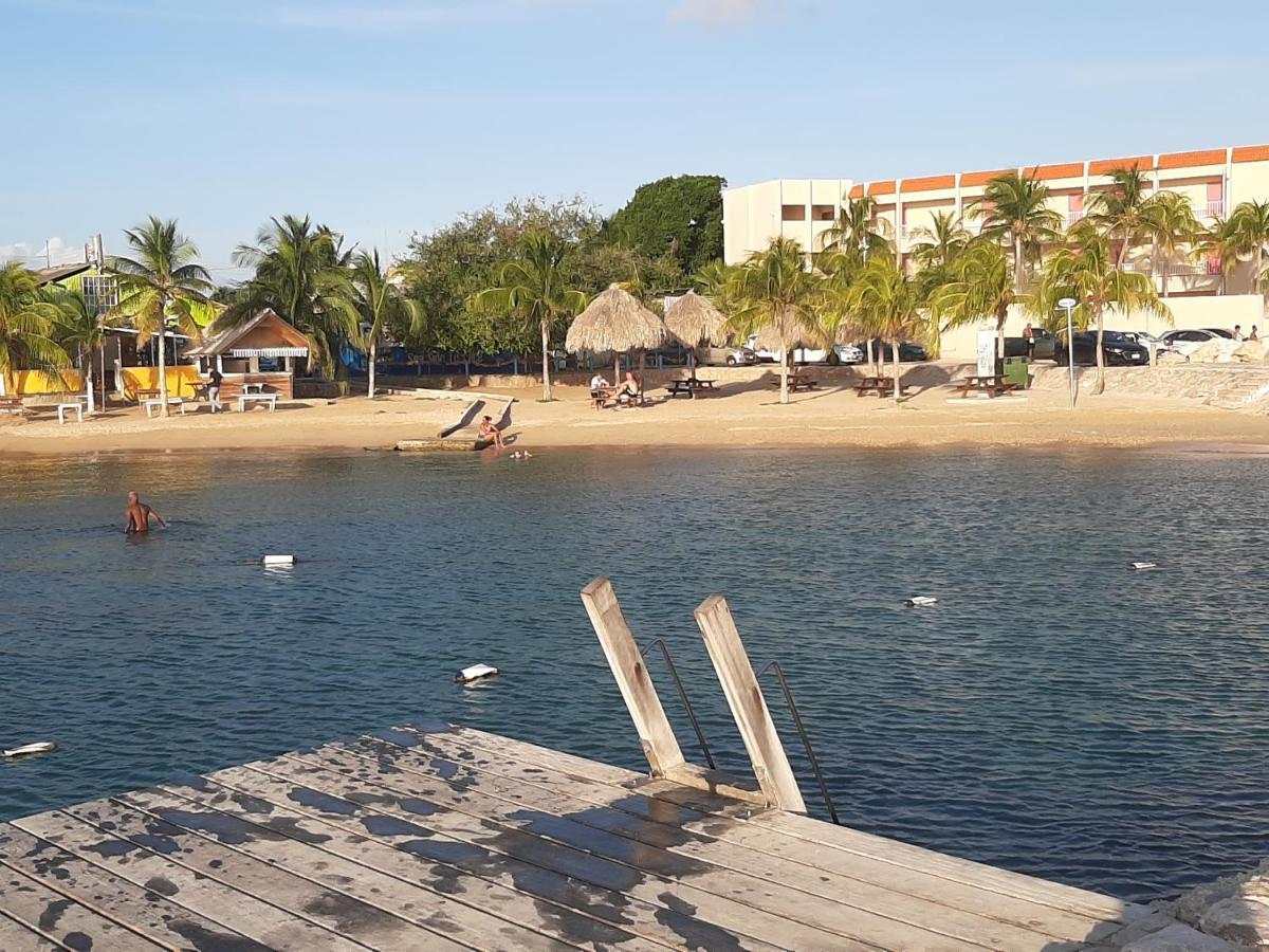 Homely Studio Apartment Curacao يلمستاد المظهر الخارجي الصورة